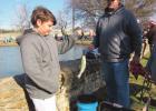 Fishing In The Park