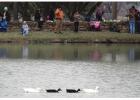 Fishing in the Park Saturday at City Park