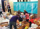 Cove schools conduct food drive to support Food for Families