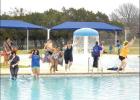 Polar Bear Plunge Saturday at City Park