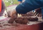 KCCB volunteers plant seed balls Saturday