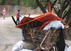 Waterway Cleanup
