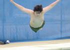 Hearty souls take leap at Polar Bear Plunge