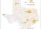 Texas reports largest daily COVID increase with 1,448
