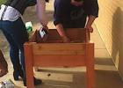 Crossroads High School cuts ribbon on campus garden