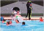 Annual Polar Bear Plunge draws trio of city council members