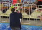 41st annual Rabbit Fest opens at City Park