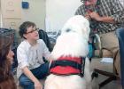 Cove High therapy dog reduces