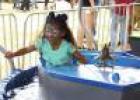 Rabbit Fest returns Thursday for 4-day run at City Park
